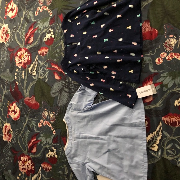 2 Shirts - Picture 2 of 7